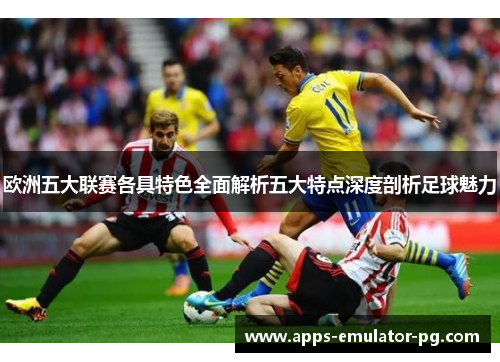 欧洲五大联赛各具特色全面解析五大特点深度剖析足球魅力 欧洲五大联赛各具特色全面解析五大特点深度剖析足球魅力