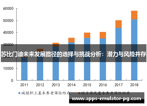 苏比门迪未来发展路径的选择与挑战分析：潜力与风险并存